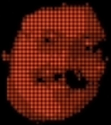 BubbleHEAD.jpg